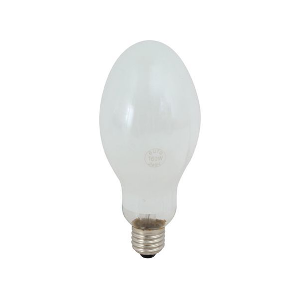 Eurolux LED globe, front view