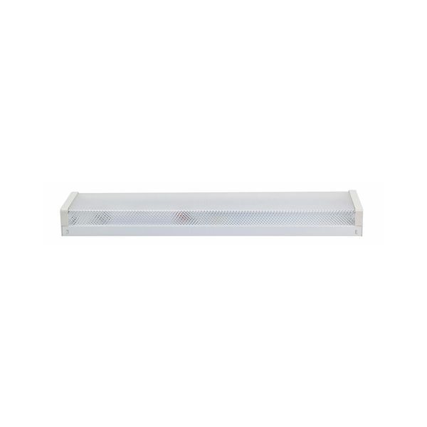 Eurolux white floodlight, front view