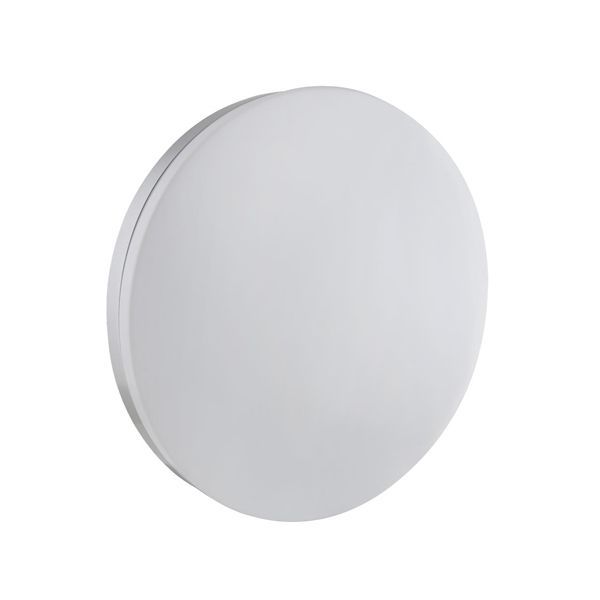 Eurolux warm white ceiling light, front view