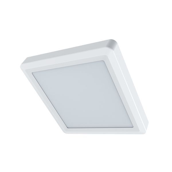 Eurolux ceiling light, front view