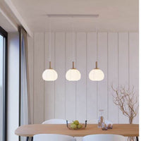 Eurolux white & brown pendant light shown in its packaging