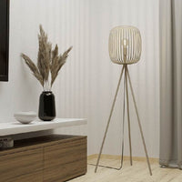 Eurolux lamp shown in its packaging