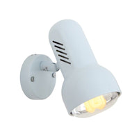 Eurolux floodlight, front view