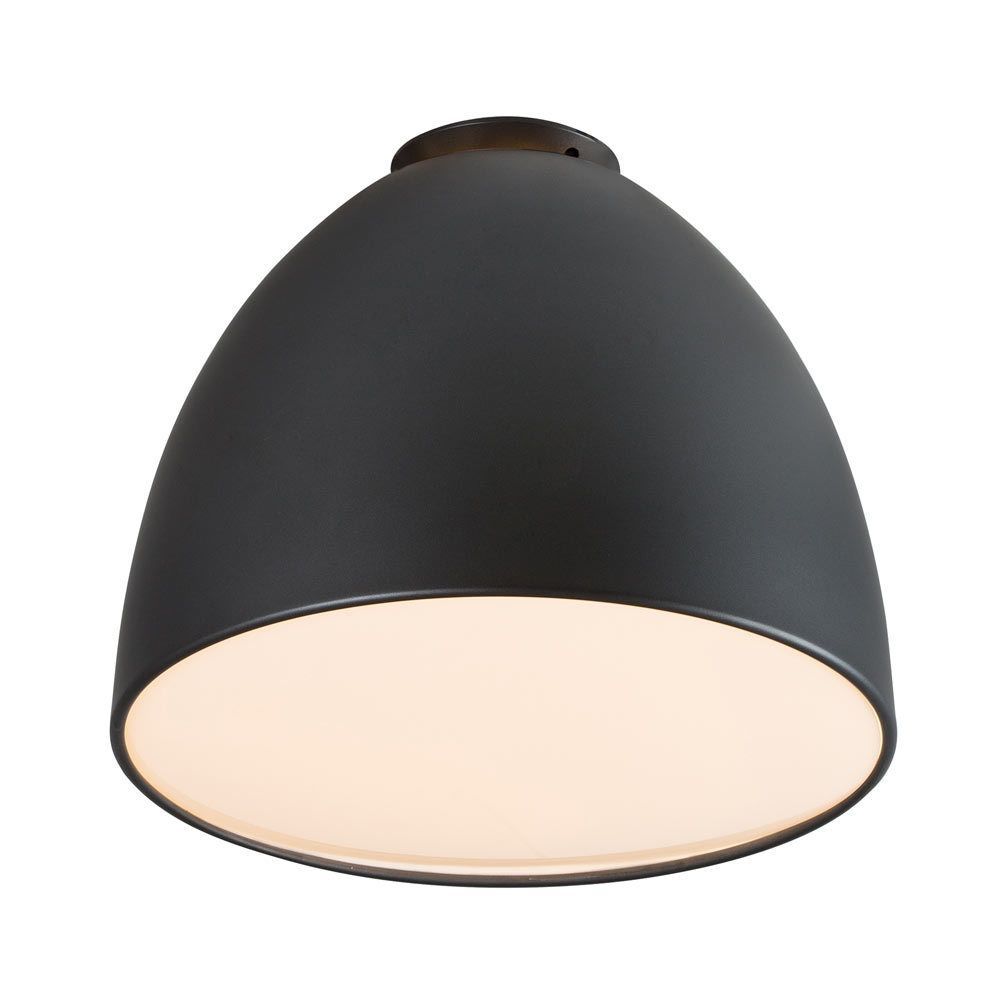 Eurolux black ceiling light, front view