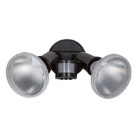 Eurolux black floodlight, front view