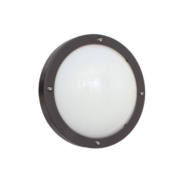 Eurolux bulkhead light, front view