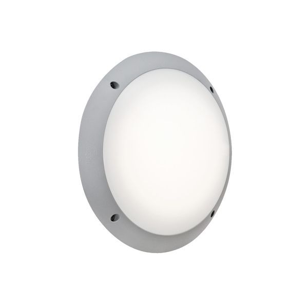 Eurolux grey wall light, front view