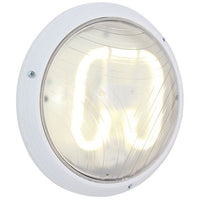 Eurolux white bulkhead light, front view