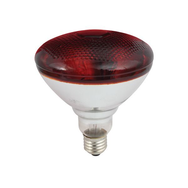 Eurolux globe, front view