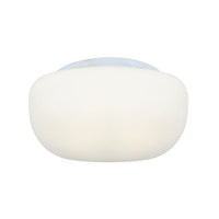 Eurolux ceiling light, front view