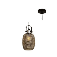 Eurolux smokey grey pendant light, front view