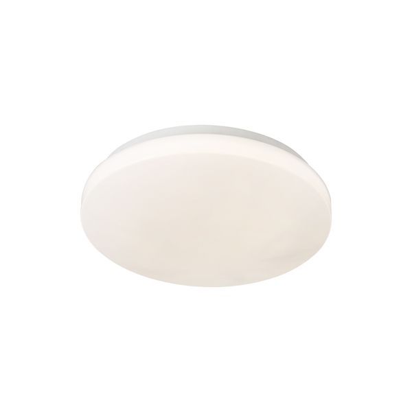 Eurolux ceiling light, front view