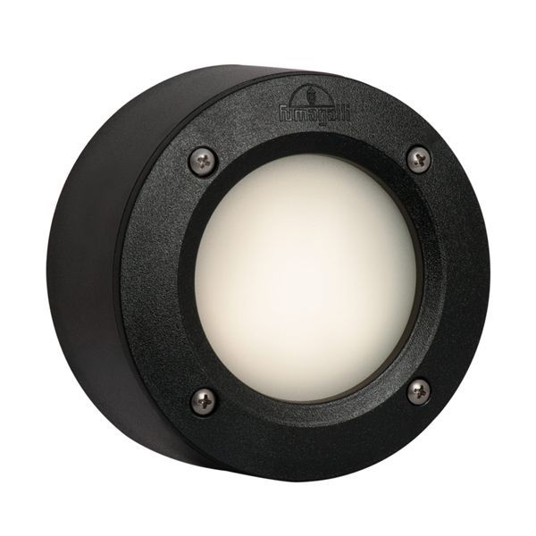 Eurolux black CFL globe, front view
