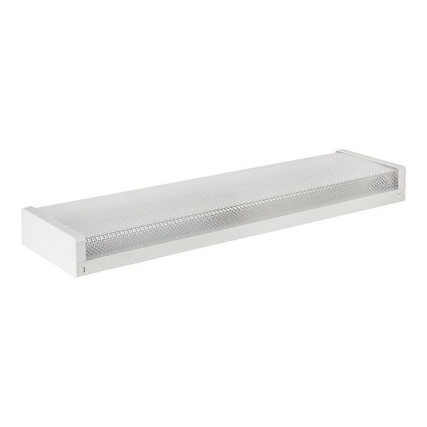 Eurolux white floodlight, front view