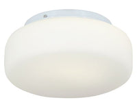 Eurolux ceiling light, front view