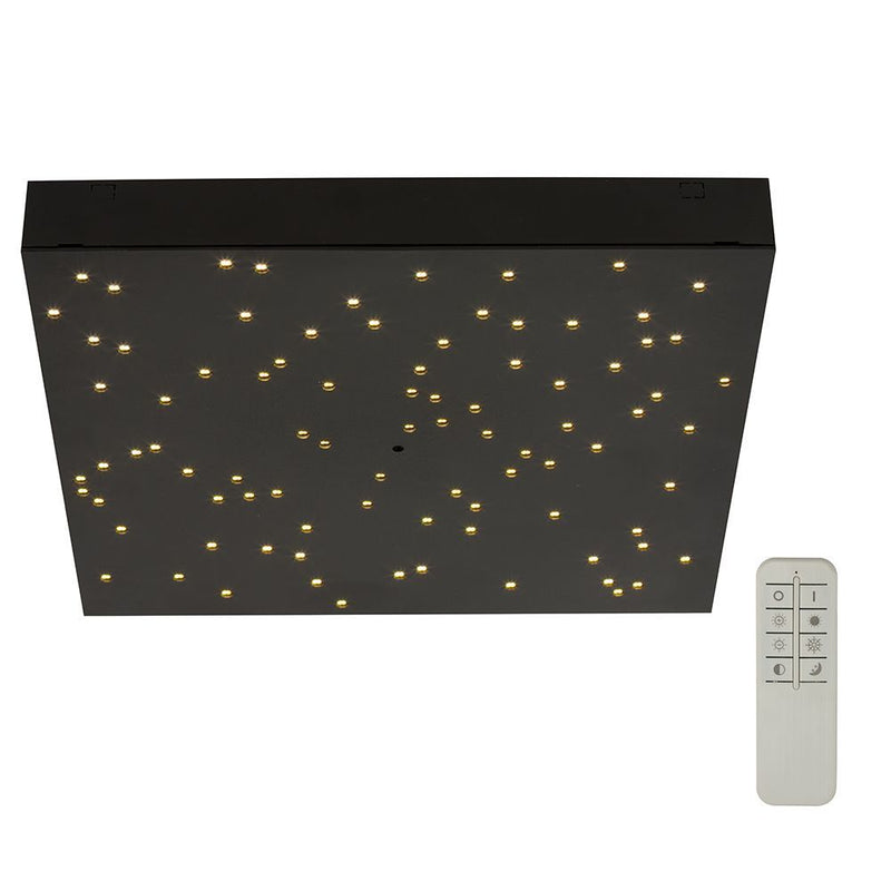 Eurolux black ceiling light, front view