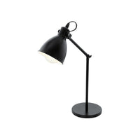 Eurolux black ceiling light, front view