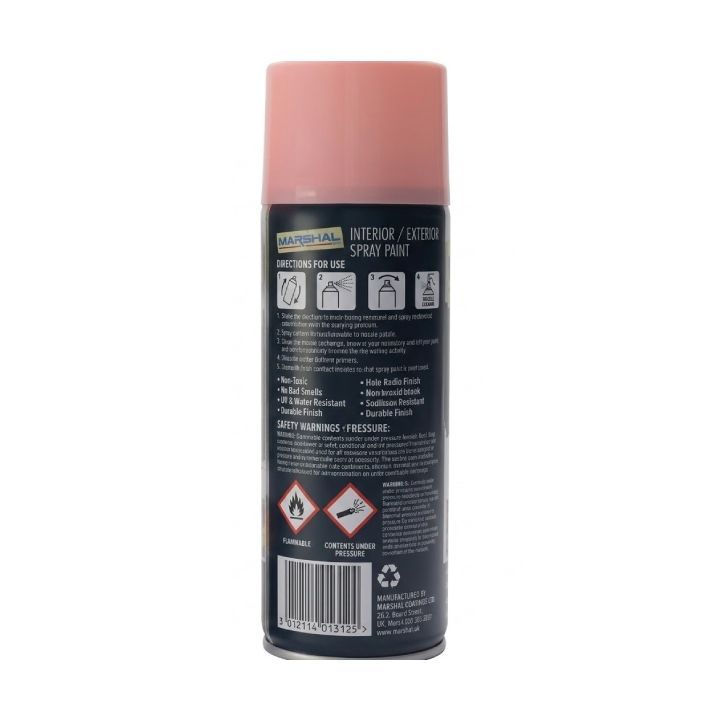 Marshal paint tool shown in its packaging