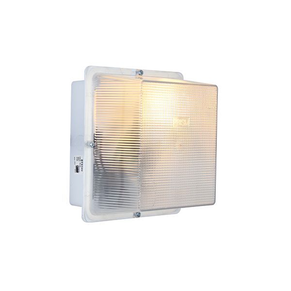 Eurolux white bulkhead light, front view