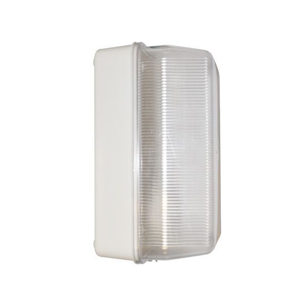 Radiant bulkhead light, front view