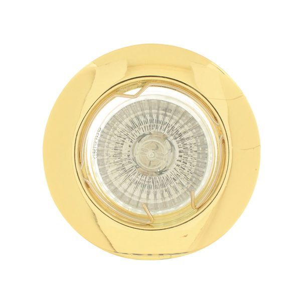 Eurolux polished brass downlight, front view