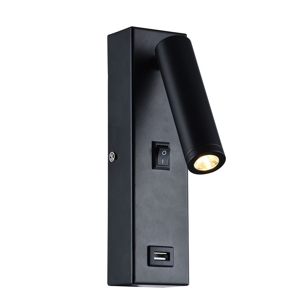 Eurolux black wall light, front view