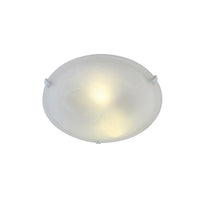 Eurolux ceiling light, front view