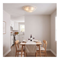 Eurolux polished brass ceiling light shown in its packaging