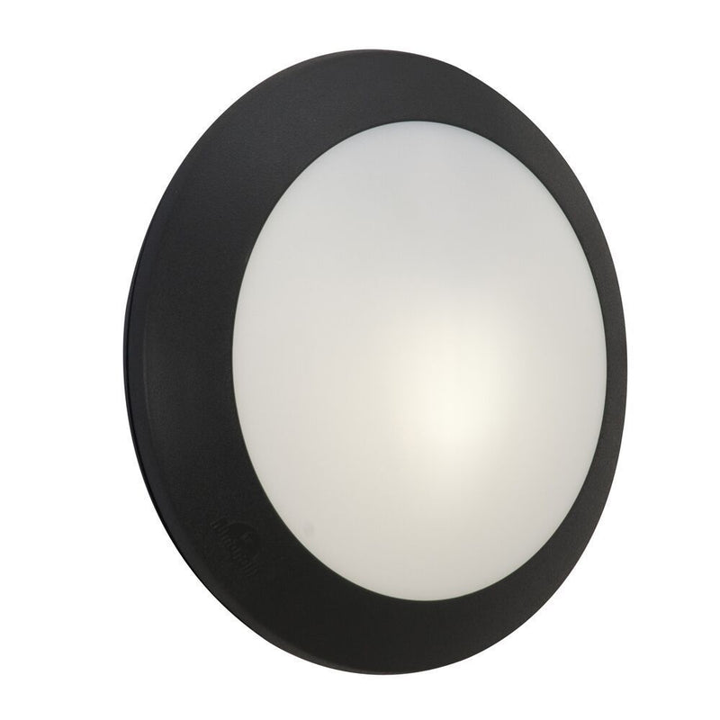 Eurolux black bulkhead light, front view