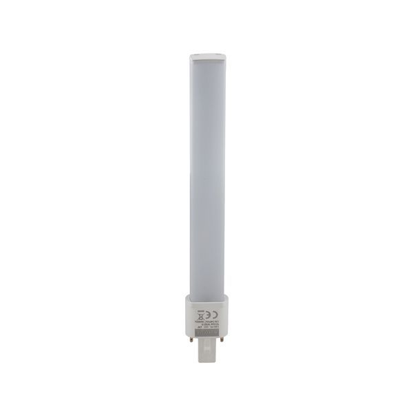 Eurolux CFL globe, front view
