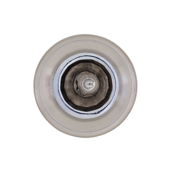 Eurolux satin chrome downlight, front view