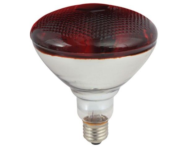 Eurolux globe, front view