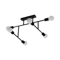 Eurolux ceiling light, front view