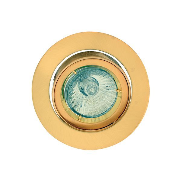 Close-up detail of the Eurolux polished brass downlight