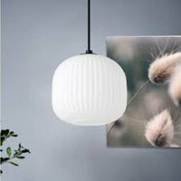 Eurolux black pendant light shown in its packaging