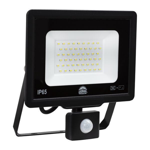 Radiant black floodlight, front view