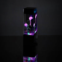 Eurolux black night light shown in its packaging