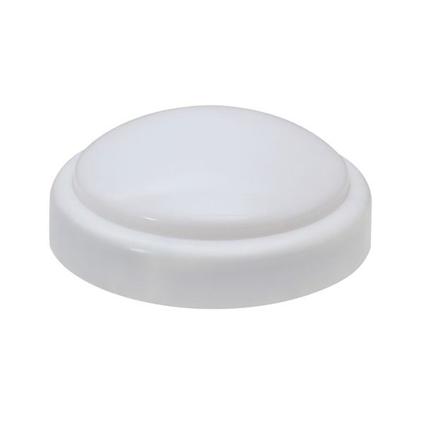 Eurolux lamp, front view