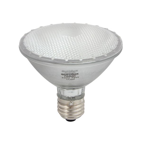 Eurolux halogen globe, front view