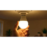 Eurolux LED globe installed and lit