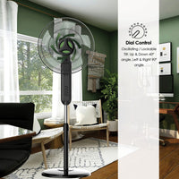 Eurolux black and green pedestal fan shown in its packaging