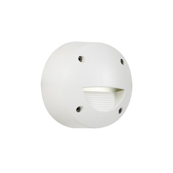 Eurolux white downlight, front view