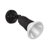 Eurolux black globe, front view