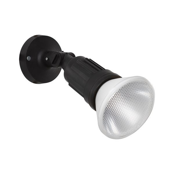 Eurolux black globe, front view