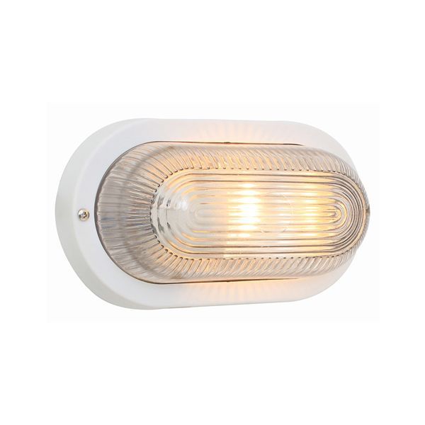 Eurolux white bulkhead light, front view