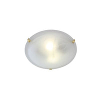 Eurolux ceiling light, front view