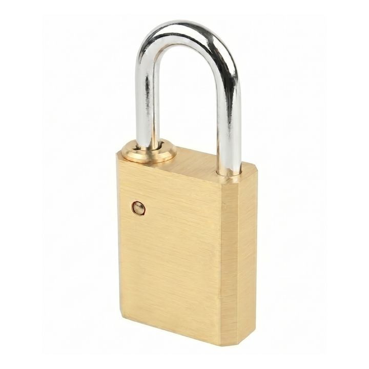 Close-up detail of the Tolsen padlock