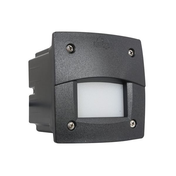 Eurolux black CFL globe, front view