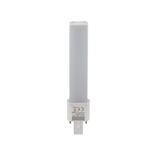 Eurolux CFL globe, front view