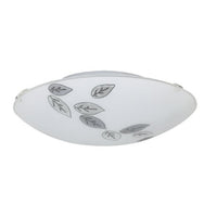 Eurolux ceiling light, front view
